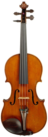 Violino